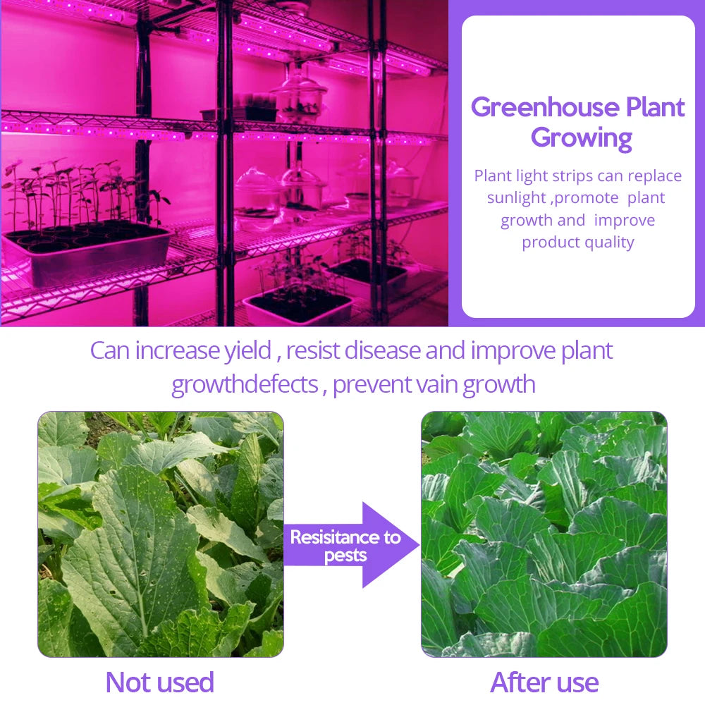 LED 成長ライト フルスペクトル USB